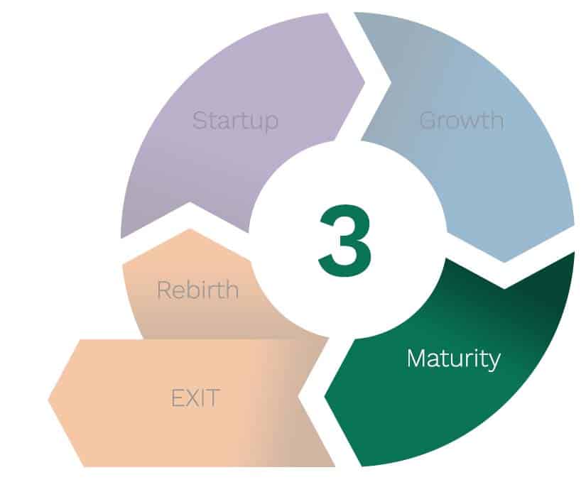 Stage 3 - Maturity