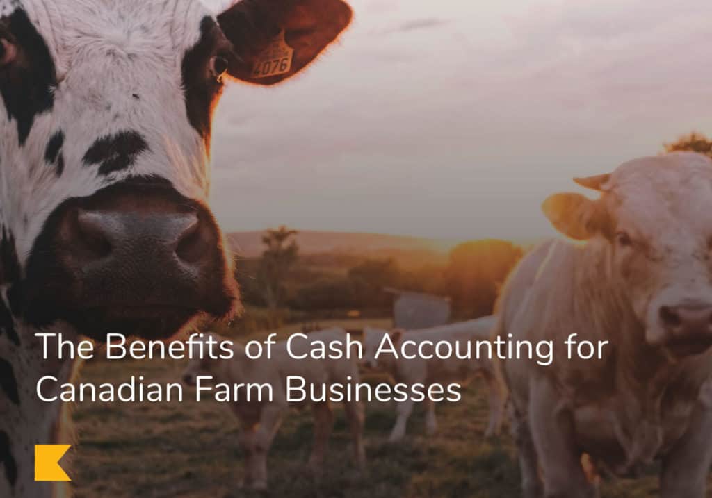 The Benefits of Cash Accounting for Canadian Farm Businesses